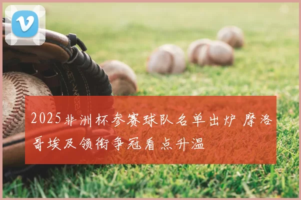 2025非洲杯参赛球队名单出炉 摩洛哥埃及领衔争冠看点升温