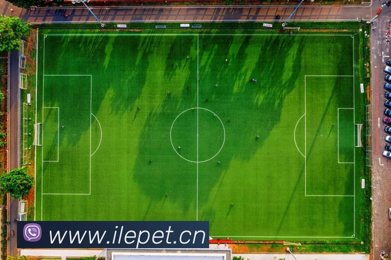 欧宝官方版网站 - 欧宝online(中国)平台生态图