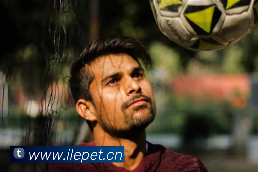 数据防护可视化